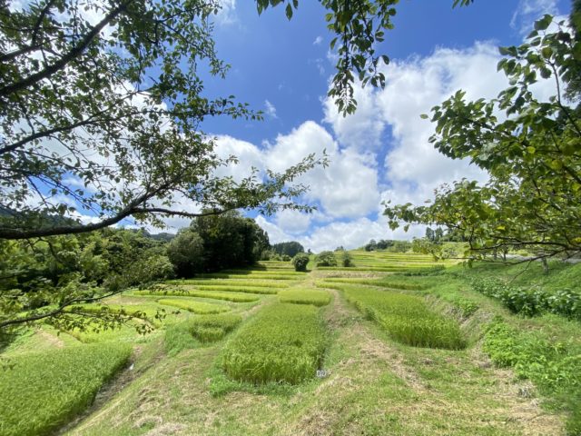 パワースポット🌾⛩ in南房総