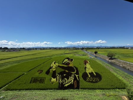 私の夏秋プライベート写真