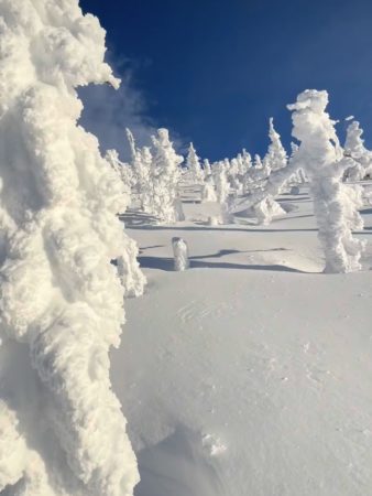 蔵王の樹氷❄🌲